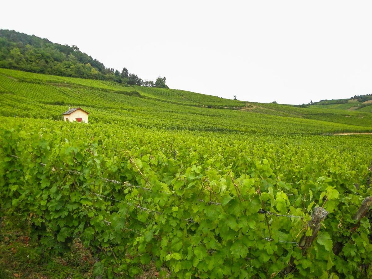 Gite Galerie Le 1892 Au Coeur Du Vignoble Ribeauville  Luaran gambar