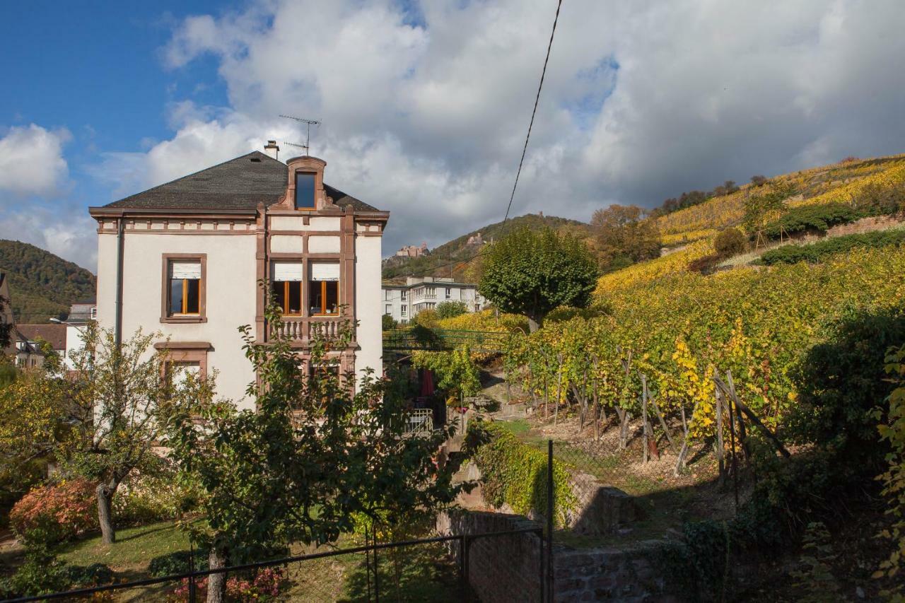 Gite Galerie Le 1892 Au Coeur Du Vignoble Ribeauville  Luaran gambar